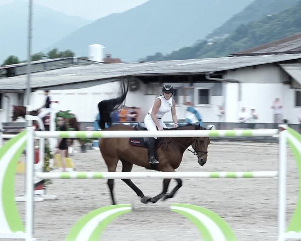 Reitturnier Giubiasco 2023