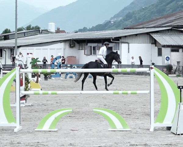 Reitturnier Giubiasco 2023