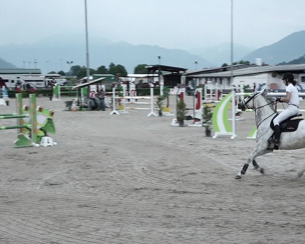 Reitturnier Giubiasco 2023