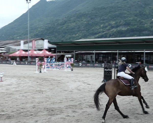Reitturnier Giubiasco 2023