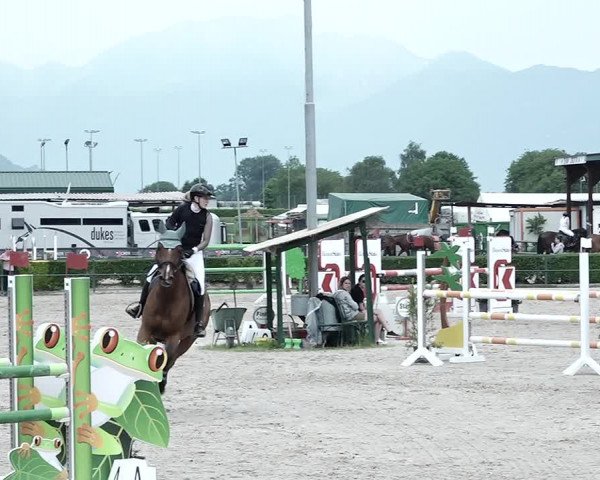 Reitturnier Giubiasco 2023