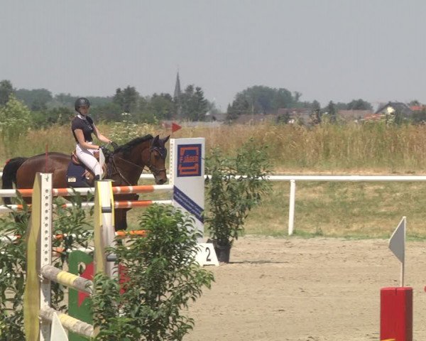 Reitturnier Biebesheim 2023