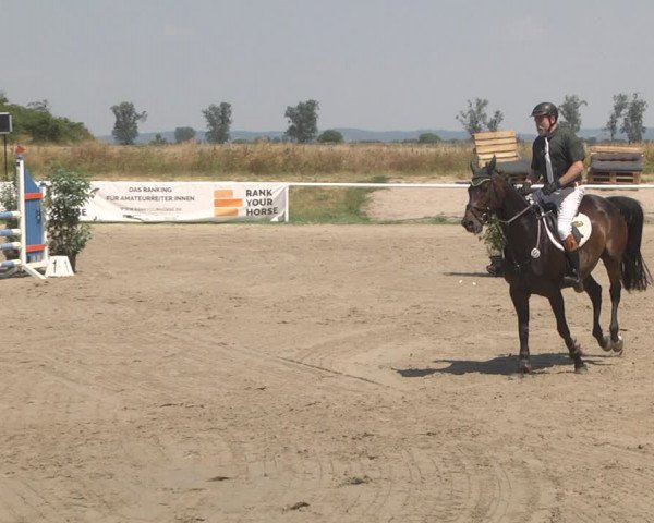 Reitturnier Biebesheim 2023