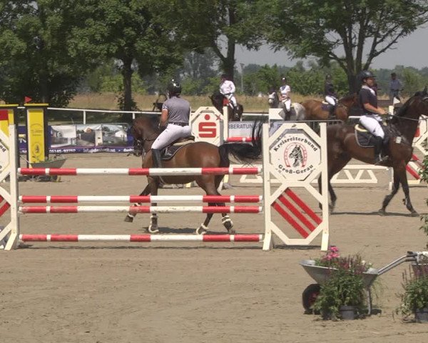Reitturnier Biebesheim 2023