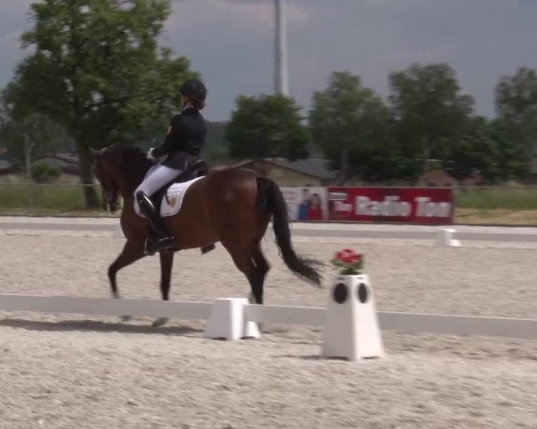 Reitturnier Rot am See- Musdorf 2023