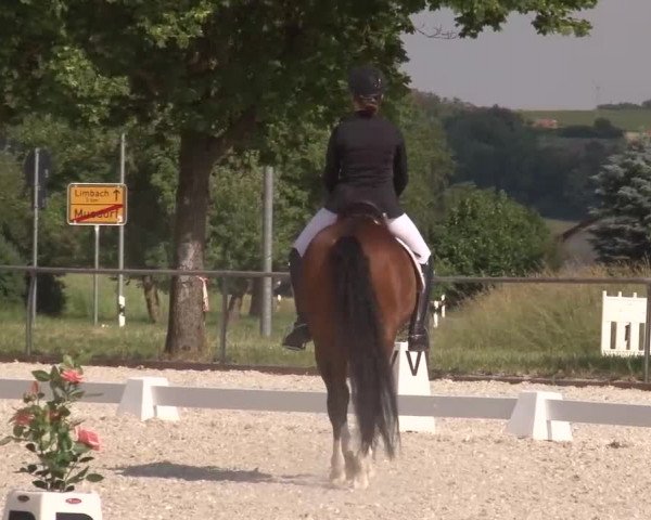 Reitturnier Rot am See- Musdorf 2023