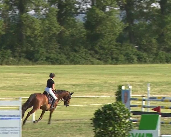 Reitturnier Bad Windsheim/Mfr. 2023