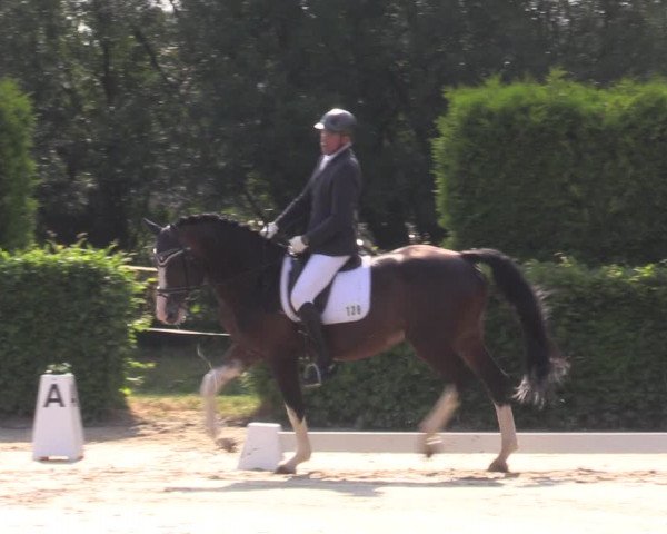 Reitturnier Wingerode 2023