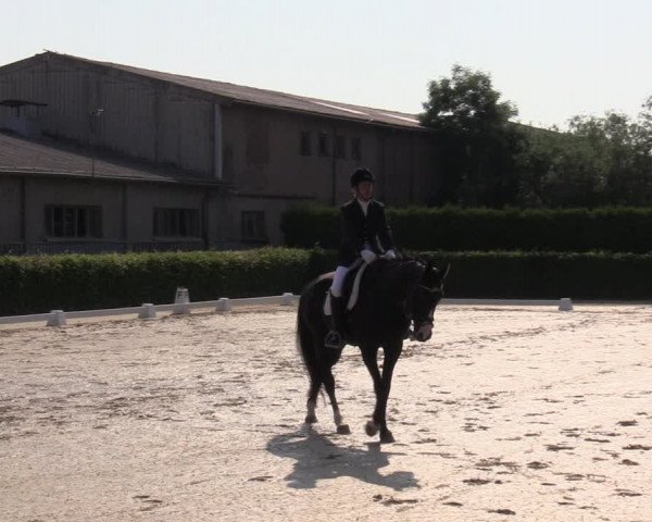 Reitturnier Wingerode 2023
