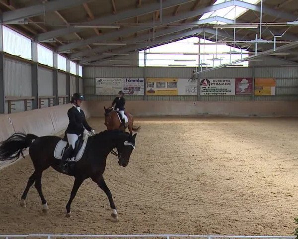Reitturnier Bad Windsheim/Mfr. 2023