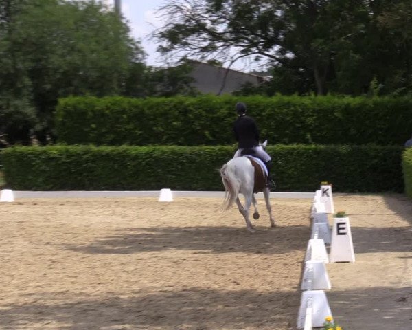 Reitturnier Wingerode 2023