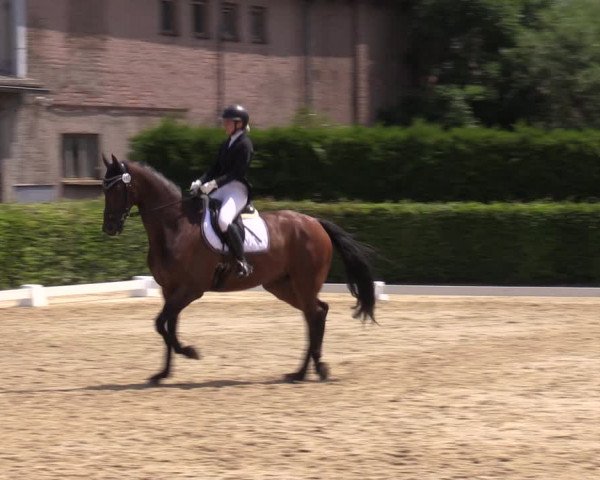 Reitturnier Wingerode 2023