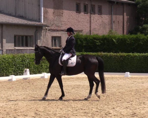 Reitturnier Wingerode 2023