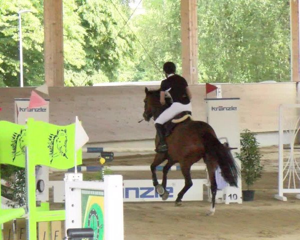 Reitturnier Dietikon 2023