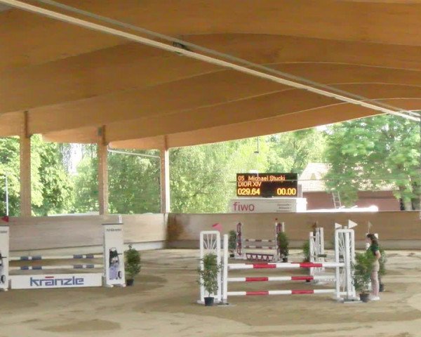 Reitturnier Dietikon 2023