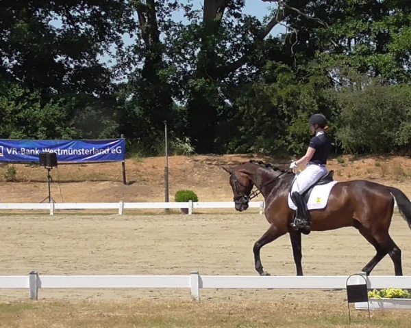 Reitturnier Coesfeld/Lette 2023