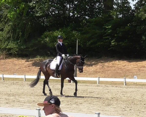 Reitturnier Coesfeld/Lette 2023