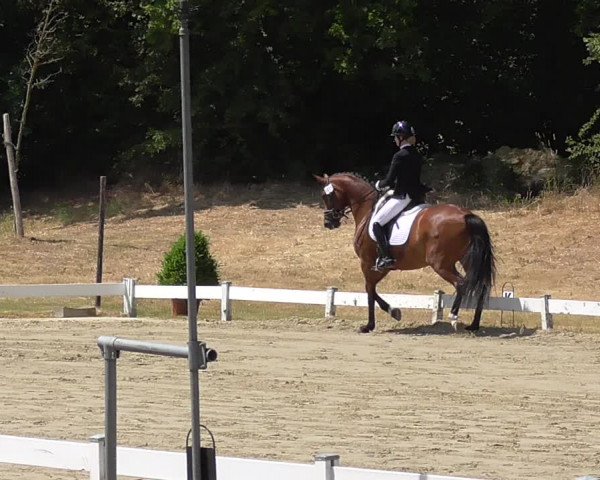 Reitturnier Coesfeld/Lette 2023