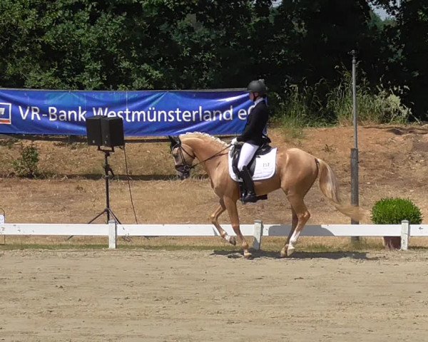 Reitturnier Coesfeld/Lette 2023