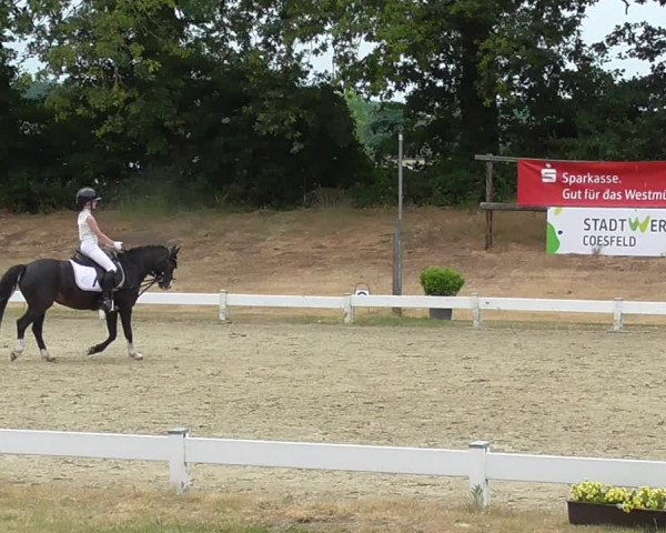 Reitturnier Coesfeld/Lette 2023