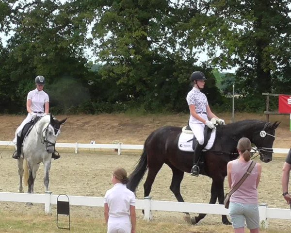 Reitturnier Coesfeld/Lette 2023