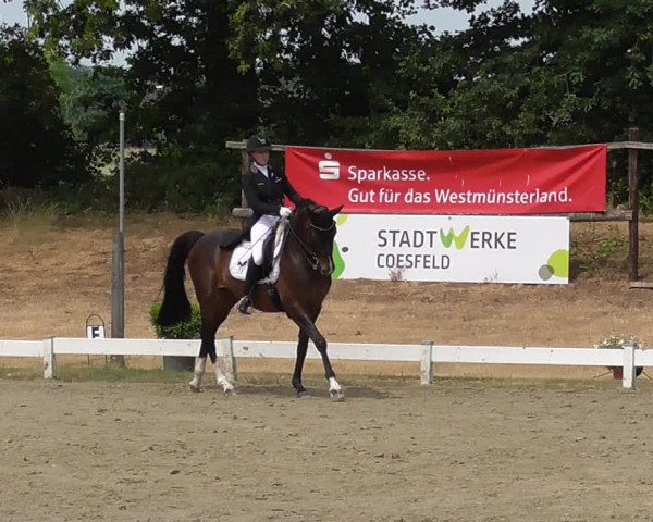 Reitturnier Coesfeld/Lette 2023