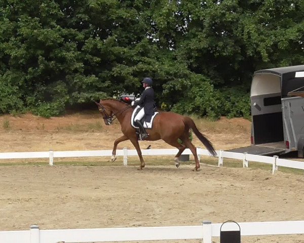 Reitturnier Coesfeld/Lette 2023
