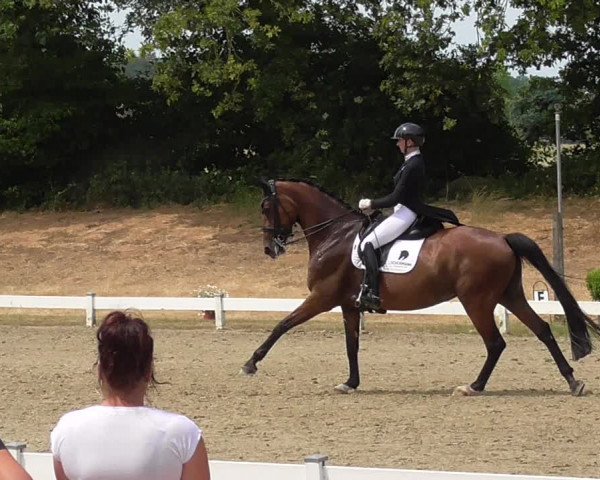 Reitturnier Coesfeld/Lette 2023
