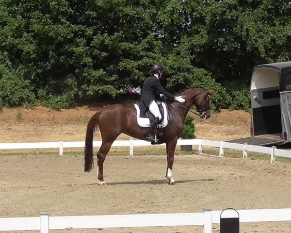Reitturnier Coesfeld/Lette 2023