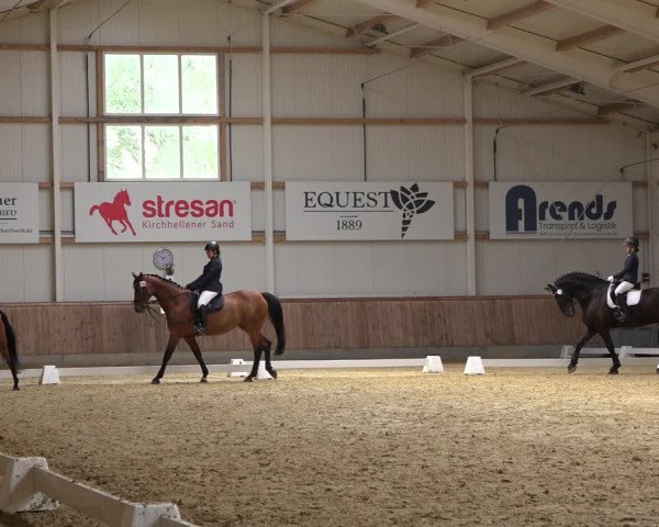 Reitturnier Ochtrup 2023