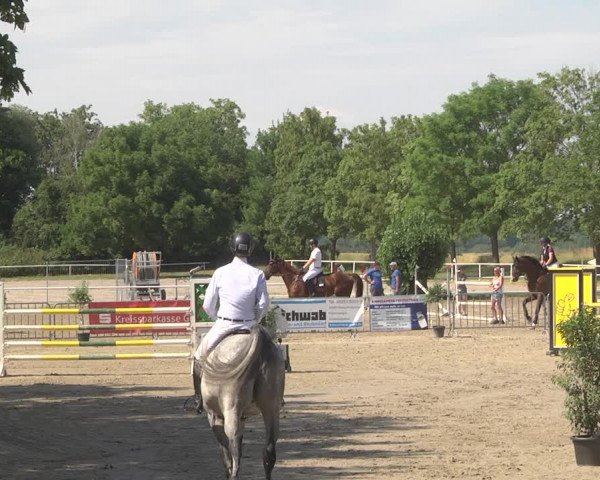 Reitturnier Biebesheim 2023