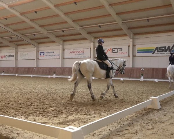 Reitturnier Ochtrup 2023