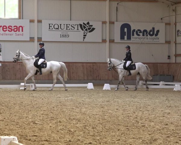 Reitturnier Ochtrup 2023