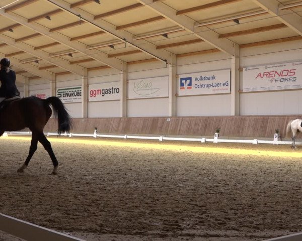 Reitturnier Ochtrup 2023