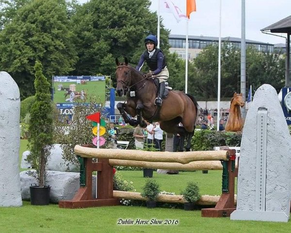 Pferd Islandwood Roxy Ella (Irish Sport Horse, 2011, von Kroongraaf)
