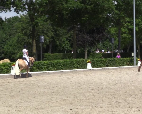 Reitturnier Fröndenberg 2023