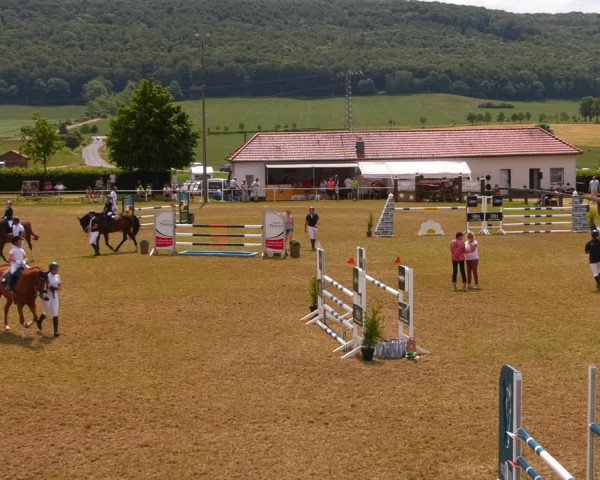 Reitturnier Wingerode 2023