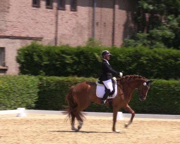 Reitturnier Wingerode 2023