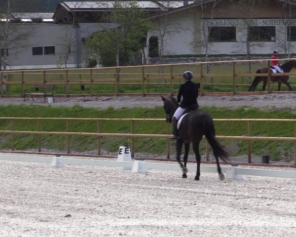 Reitturnier St. Ulrich am Pillersee 2023