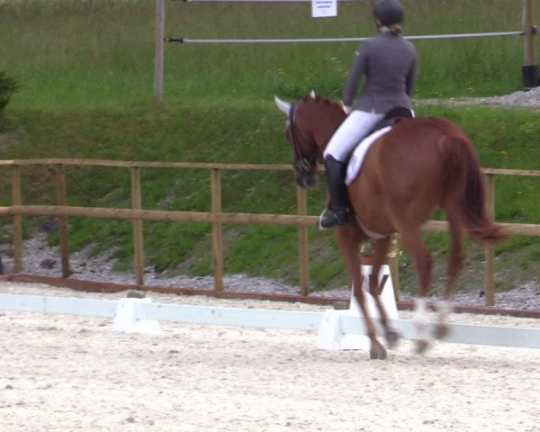 Reitturnier St. Ulrich am Pillersee 2023