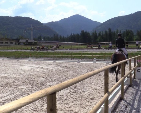 Reitturnier St. Ulrich am Pillersee 2023
