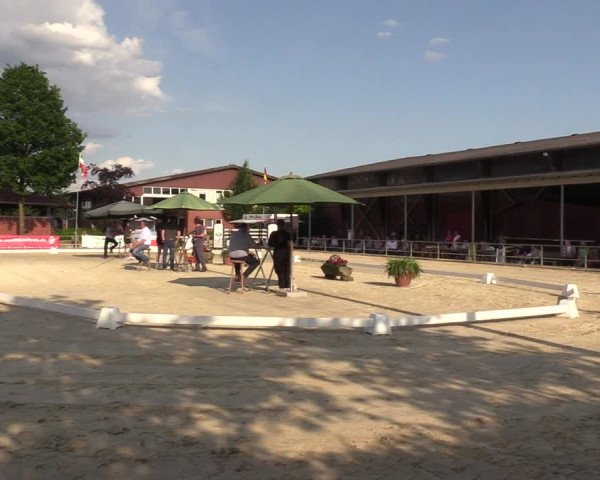 Sichtung zum Horse24-Fohlenchampionat 2023 in Münster-Albachten
