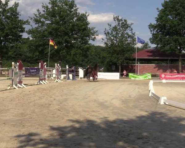 Sichtung zum Horse24-Fohlenchampionat 2023 in Münster-Albachten