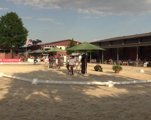 Sichtung zum Horse24-Fohlenchampionat 2023 in Münster-Albachten