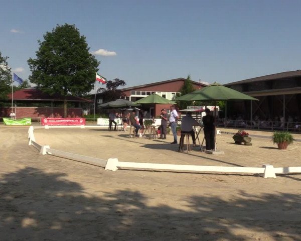 Sichtung zum Horse24-Fohlenchampionat 2023 in Münster-Albachten