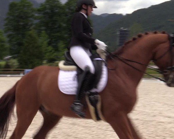 Reitturnier St. Ulrich am Pillersee 2023