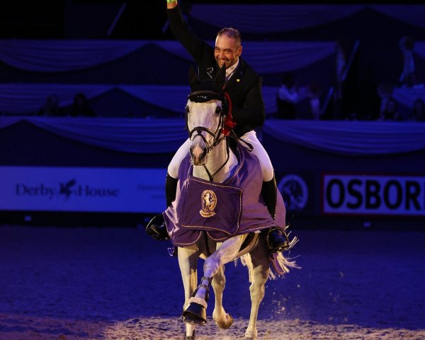 jumper Aragon Z (Zangersheide riding horse, 2011, from Asca Z)