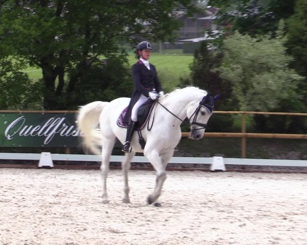 Reitturnier St. Ulrich am Pillersee 2023
