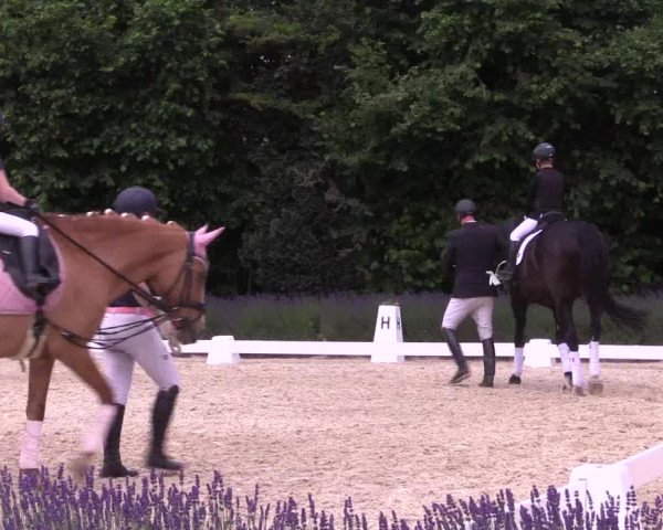 Reitturnier Lindlar - Reitanlage Dückers 2023