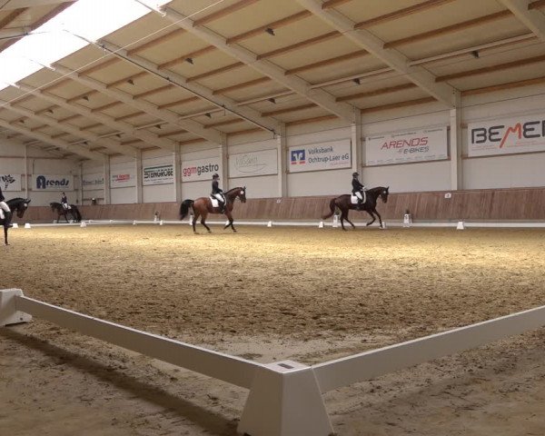 Reitturnier Ochtrup 2023